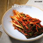 自家製 ネギキムチ 500g / 手作り 本格ネギキムチ 葱キムチ キムチ 韓国惣菜
