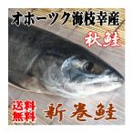 [ бесплатная доставка ]o сигнал tsuk море ветка . производство лосось арамаки 3.0kg/ осень лосось новый предмет холод способ высушенный 