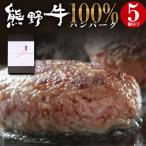 熊野牛 100% ハンバーグ 5食 セット 