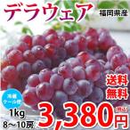 デラウェア ぶどう 送料無料 1kg 8〜1