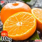 みかん 10kg 送料無料 訳あり 温州みかん 送料無料 S〜3L 熊本県産 熊本みかん 訳ありみかん 蜜柑 ミカン