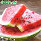 すいか 小玉すいか ひとりじめ スイカ 送料無料 秀品2玉 約3kg お取り寄せ 熊本県産 西瓜 フルーツ