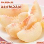 桃 はなよめ 送料無料 秀品 約1kg 5〜6玉入り 2箱購入で1箱おまけ クール便でお届け お取り寄せ 温室桃 熊本植木産 千代姫 日川白凰 白凰 もも ピーチ フルーツ