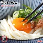 うどん 讃岐うどん 早ゆで5分 送料無料 8食（180g×4袋） 生麺 本場讃岐伝統の味 細め お試し グルメ お取り寄せ 香川うどん