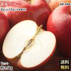 りんご 訳あり リンゴ 送料無料 約1.5kg 長野・青森県産 2セットで1セットおまけ お取り寄せ サンふじ つがる ジョナゴールド ふじ 林檎