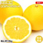 河内晩柑 みかん 送料無料 訳あり 10kg 箱込 (内容量9kg+不良果補償分500g) S〜3L お取り寄せ 和製グレープフルーツ 晩柑 熊本県産 美生柑