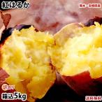 ショッピングさつまいも さつまいも 紅はるか 訳あり 5kg 箱込（内容量4kg＋補償分500g) 送料無料 べにはるか 熊本県産 サツマイモ 紅蜜芋 芋 いも