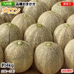 メロン 訳あり 送料無料 約4kg(2〜7玉)品種おまかせ 九州産 イエローキング・エリザベス・肥後グリーン・レノン・タカミ・クインシーメロンなど