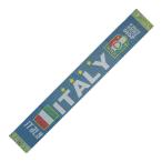 イタリア代表(2010南アフリカW杯)平織りマフラー
