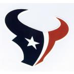 hyu- камень *teki солнечный z(NFL) команда Logo * стикер [st-NFL017]
