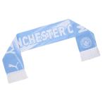  Puma 25-26 MCFC man Cesta - City ESS шарф футбол опора item puma 054825-01