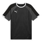 プーマ INDIVIDUALLIGA グラフィック SSシャツ 大人用 サッカー プラクティスシャツ 半袖 puma 660186-03