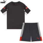  Puma INDIVILIGA SS рубашка & шорты для взрослых футбол p Ractis верх и низ в комплекте puma 660962/660976