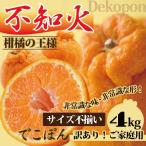 デコポン でこぽん みかん訳あり 不知火 愛媛産 送料無料 ご家庭用 4kg サイズ不揃い