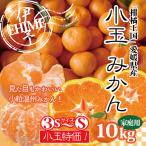 愛媛 温州 みかん 小玉みかん 約１０ｋｇ ３Ｓ〜Ｓ玉 小玉 特価 訳あり フルーツ 愛媛県産 送料無料