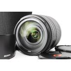  Sony DT 18-250mm F3.5-6.3 SAL18250