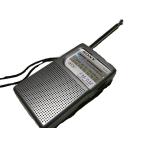 SONY FM/AM портативный портативный радио ICF-P21