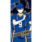  самый жребий Haikyu!!!!.. средняя школа VS лебедь . учебное заведение средняя школа C.. гора . самец банное полотенце 