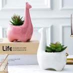 SukiQi 陶器鉢多肉植物 植木鉢 2個入り ミ二植木鉢 プランター容器 花鉢 誕生日祝い インテリア装飾品 部屋用 オフィス用 バンブートレイ付き