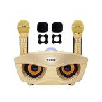 カラオケマイク スピーカーマイクセット 、サウンドカード（男の声/女の声/子供の声）付き、カラオケ機器、 ハイパワーマイク 手持ちマイク2本付き スピ