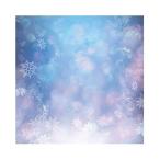 Qinunipoto 背景布 写真の背景 写真撮影用 雪とクリスマスの背景 写真背景 芸術的背景 撮影布 ファッション撮影 誕生日 スタジオのプロ背景