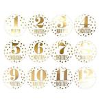 カワイイ マンスリー 月齢 フォト ステッカー シール ベビー マタニティー 新生児 赤ちゃん 記念 写真 撮影 12個セット (ゴールド)