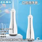 口腔洗浄器 父の日ギフト 口腔洗浄機 ジェットウォッシャー ウォーターフロス防水 電動 デンタルフロス 歯間ブラシ 歯磨き 虫歯 歯周病 口臭 歯石 歯周ポケット