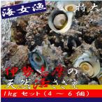 伊勢志摩産 海女漁 厳選 サザエ 天然 活き 1キロ 4~6個 貝 かい カイ 壺焼 さざえ 海の幸 新鮮 産地直送 送料無料 即日発送
