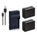 USB充電器とバッテリー2個セット DC01