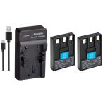 USB充電器とバッテリー2個セット DC17