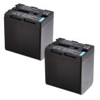 2個セット Sony ソニー NP-QM91D 互換バ