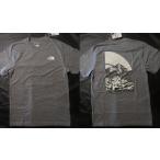 本物正規◆ノースフェイス◆Tシャツ■グレー■NOVELTY 新品■アメリカ限定/CQI The North Face メンズ 半袖 NVLTY