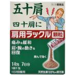 肩こり、筋肉痛内服薬