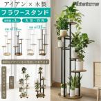 【2026新作花台】フラワースタンド アイアン 室内 プ