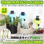  автоматика водоснабжение колпак 6 шт. комплект полив данный номер лейка автоматика полив контейнер растения автоматика поилка вода .. машина автоматика разбрызгивание воды система садоводство садоводство растения бонсай отсутствие DOKYU