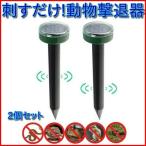 モグラ退治 モグラ撃退器 猫よけ 超音波 強力 ソーラー 庭 センサー 音 動物撃退器 猫除け 猫対策 猫退治 駆除 振動 罠 捕獲器 ネコよけ 糞尿対策 2個セット