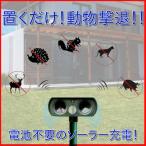 猫よけ 超音波 対策 ソーラー式 動物撃退器 猫除け センサー ライト 猫よけ対策  ネコよけ グッズ ソーラー 充電 カラスよけ 害獣