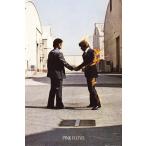  pink floyd PINK FROYD импорт постер 61cm x 91.5cm