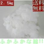 Yahoo! Yahoo!ショッピング(ヤフー ショッピング)【送料無料】【返品不可】手芸わた約２５０ｇ ×１０セット【合計約２．５キロ】ポリエステル綿、新しくてふかふかな綿!!