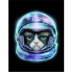 [ космонавт * кошка *..] открытка чёрный фон 