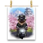 【シャムネコ ねこ バイク 桜 日本】ポストカード by Fox Republic