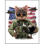 [ ВВС кошка ] открытка 