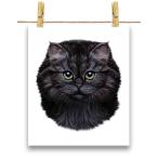 [ american Short волосы . здесь ... кошка . кошка ] открытка by Fox Republic