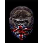 [ Gorilla * бандана * Union Jack ] открытка чёрный фон 