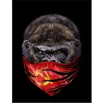 [ Gorilla * бандана *sobieto полосный .] открытка чёрный фон 