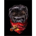 [ Gorilla * бандана * сигареты *sobieto полосный .] открытка чёрный фон 