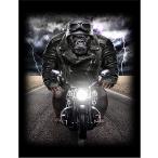 [ Gorilla * мотоцикл * шлем ] открытка чёрный фон 