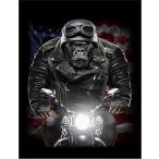 [ Gorilla * мотоцикл * шлем ] открытка чёрный фон 