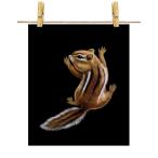  открытка играть белка by Fox Republic