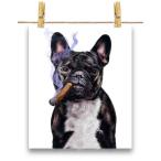  открытка сигареты French bru собака by Fox Republic